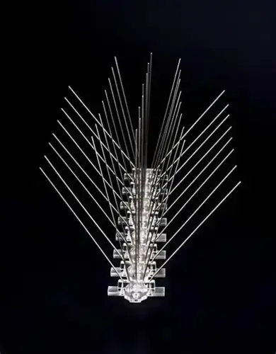 Anti Bird Spikes Services