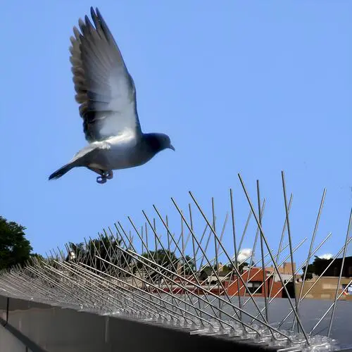 Aradhya Safety Solutions Premium Anti Bird Spikes