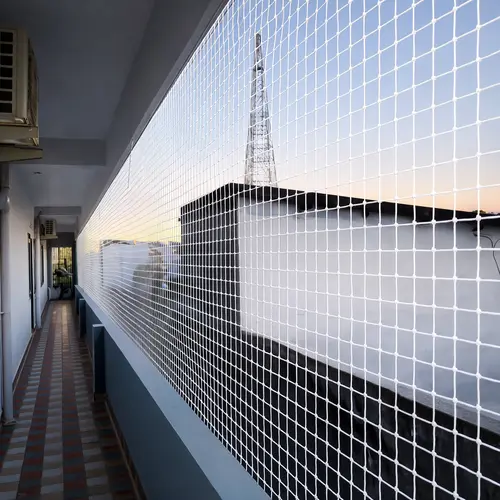 Pigeon Safety Nets Installation